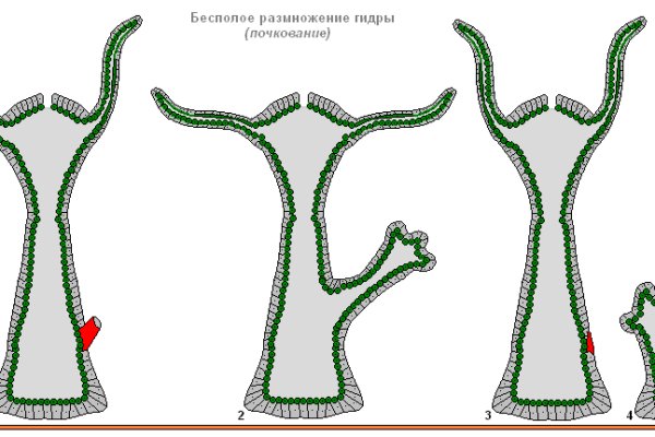 Кракен зеркало onion