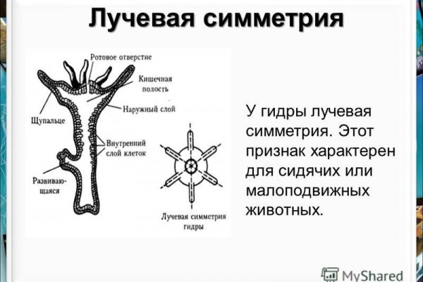 Кракен тг маркетплейс