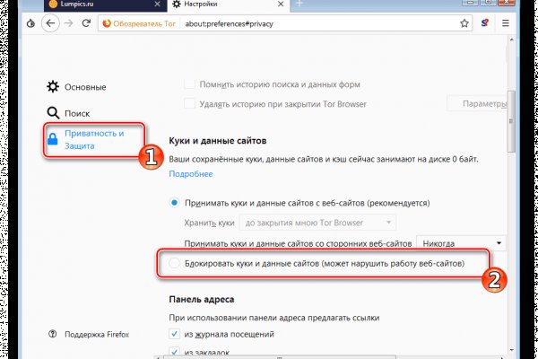 Как запустить сайт гидра