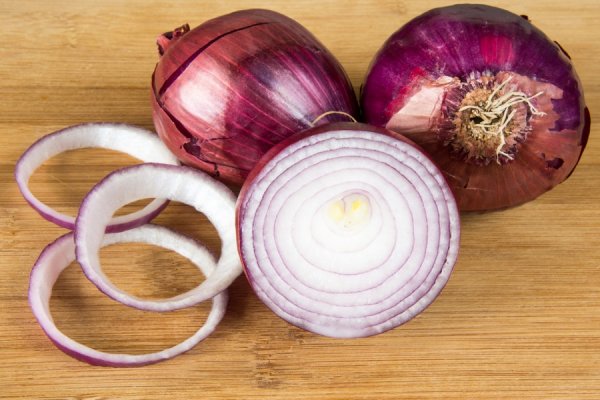 Актуальная ссылка на гидру