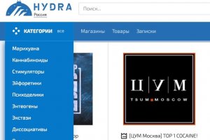 Blacksprut закрыли